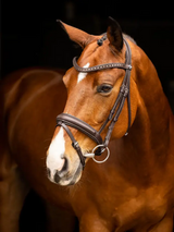 Le Mieux Arika Dressage Bridle