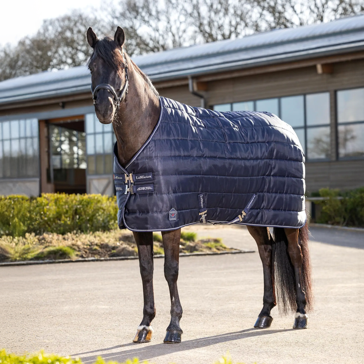 Le Mieux Arika Stable-Tek 200g Navy