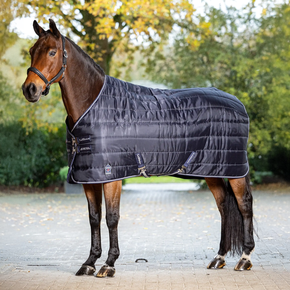 Le Mieux Arika Stable Tek 100g Navy