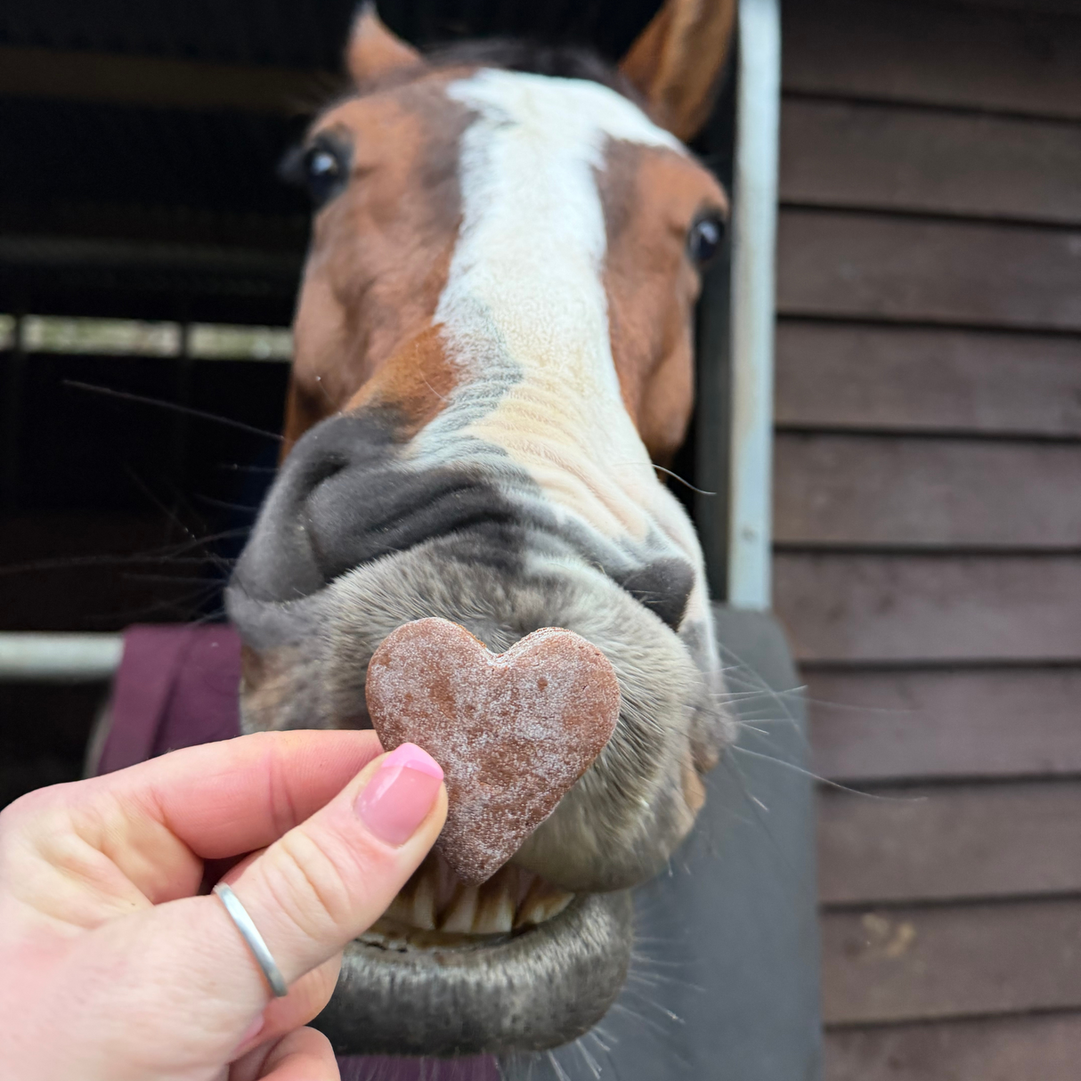 Equine Exceed Calmer Bites Original Limited Edition Hearts 10 Bites 180g