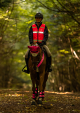 Woof Wear LED Hi Vis Riding Vest Pink