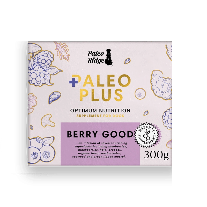 Paleo Ridge Paleo Plus Berry Good 300g