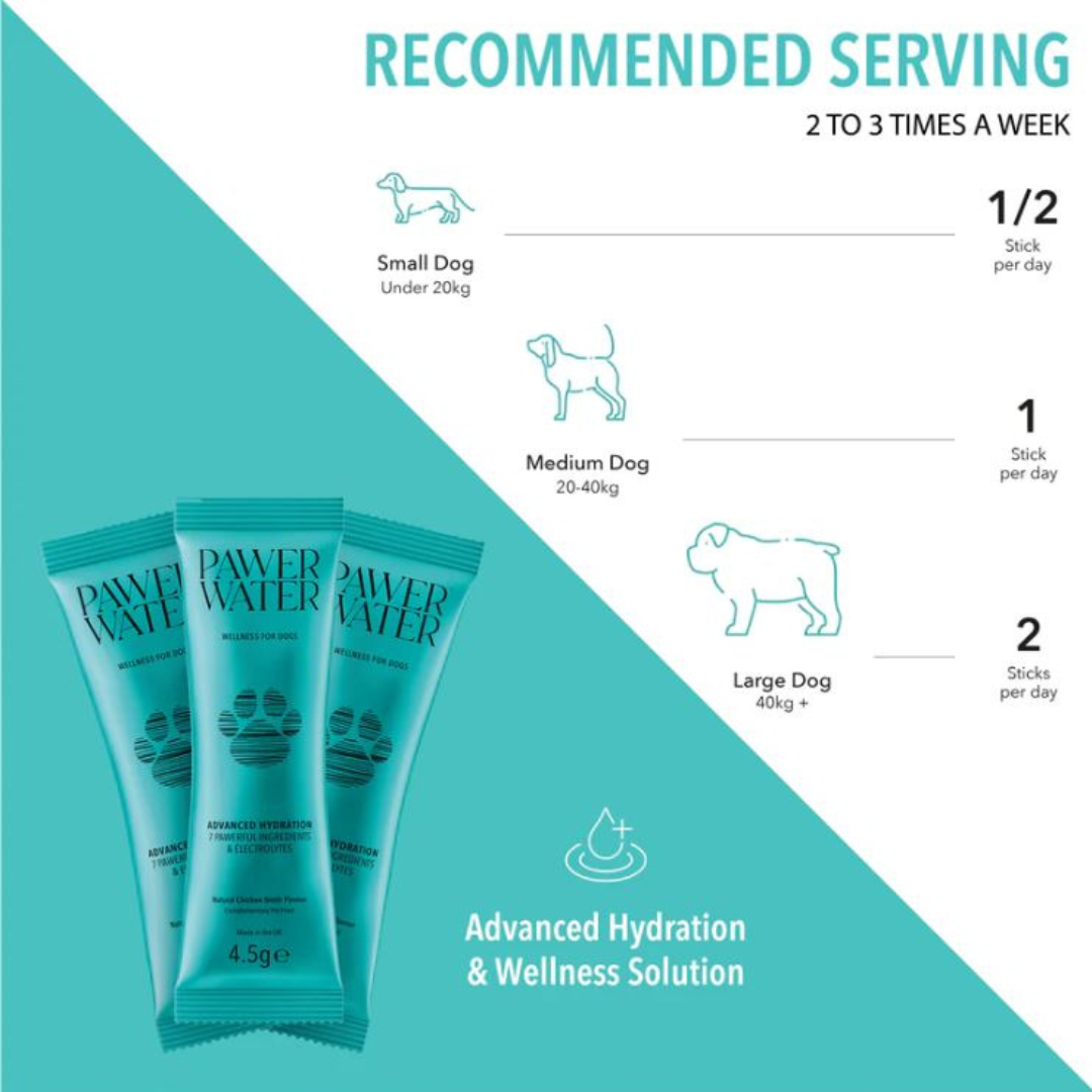 Pawer Water Mobility & Glow Advanced Wellness Hydration Supplement for Dogs - 12 pack
