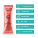 Pawer Water Gut & Digestion Advanced Wellness Hydration Supplement for Dogs - 12 pack