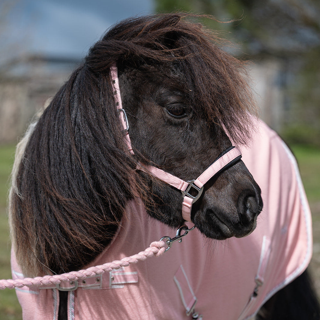Rhinegold Mini Sorbet Padded Headcollar & Rope Set Candy Floss Pink