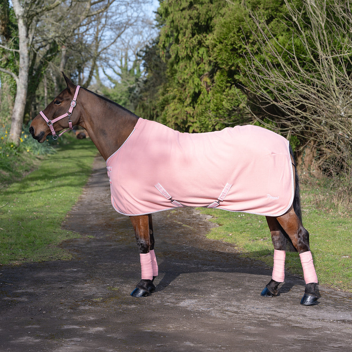 Rhinegold Sorbet Fleece Candy Floss Pink