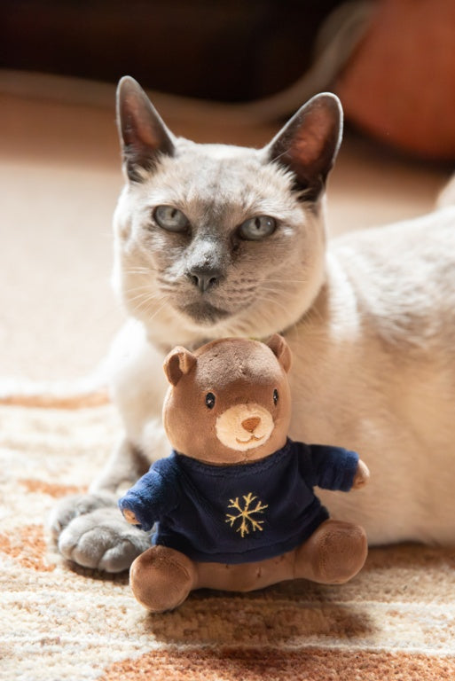 Rosewood Cupid & Comet Binky Bear