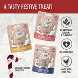 Rosewood Cupid & Comet Christmas Dinner Dog Stocking with Treats & Toy