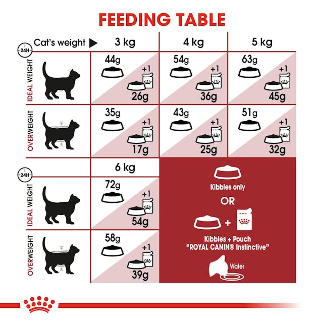 Royal Canin Cat - Fit 32 4kg