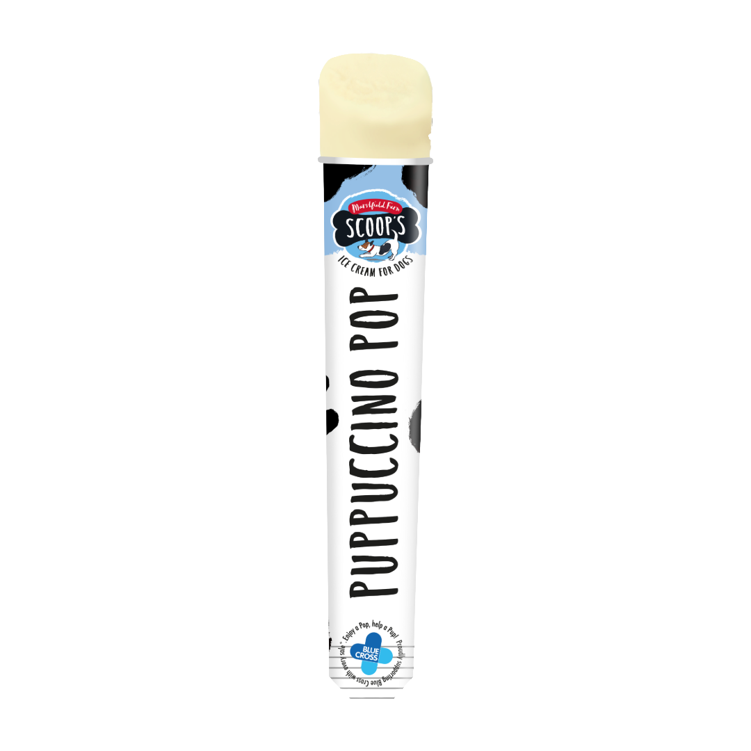 Scoops Dog Ice Cream Puppuccino Pop 110ml