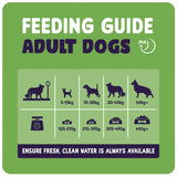 Burgess Dog - Sensitive Senior Turkey 12.5kg