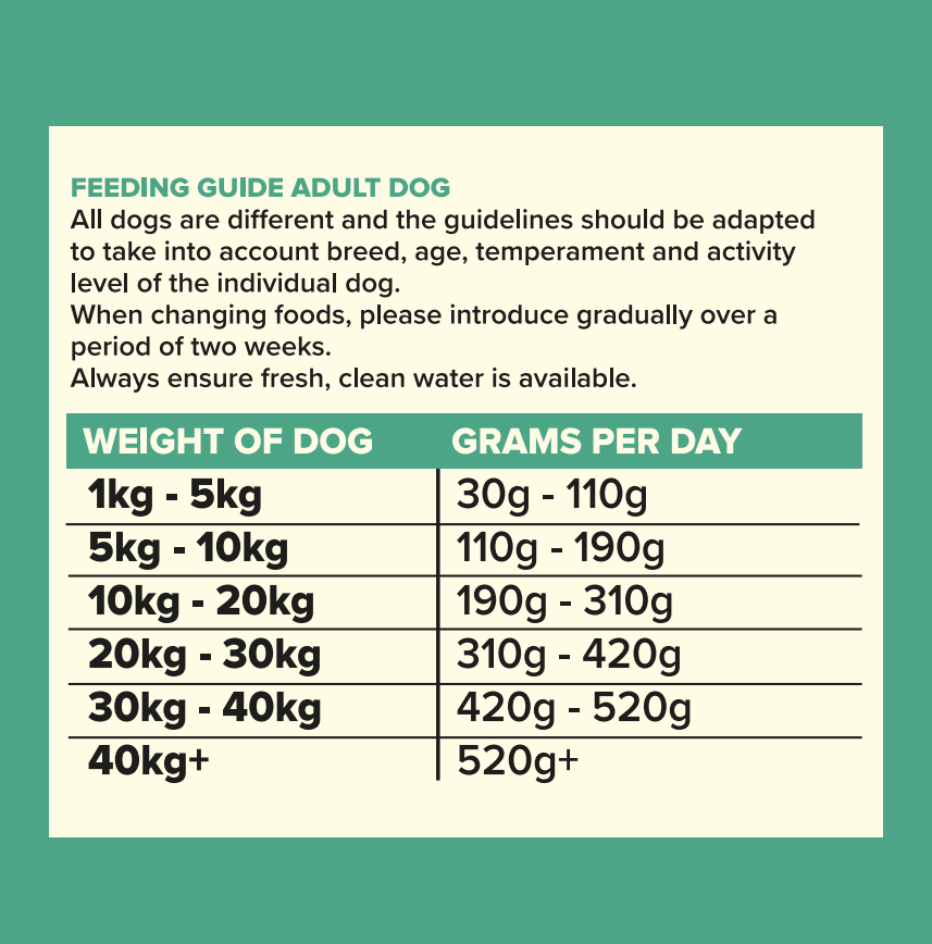 Seven Dog - Adult Lamb with Sweet Potato & Mint Grain Free 2kg