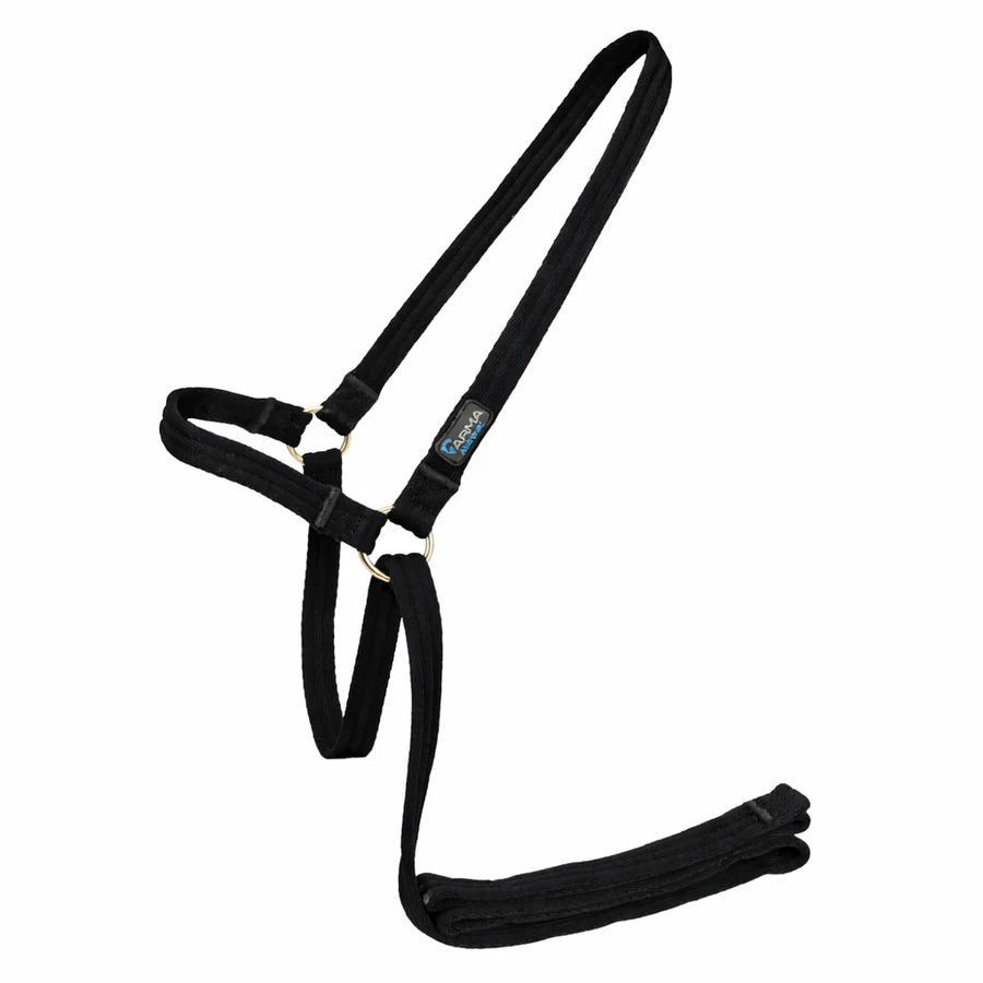 Shires ARMA Cushion Web Halter & Lead