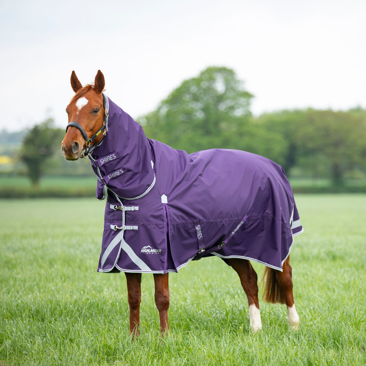 Shires Highlander Original 100g Turnout Combo Rug Plum