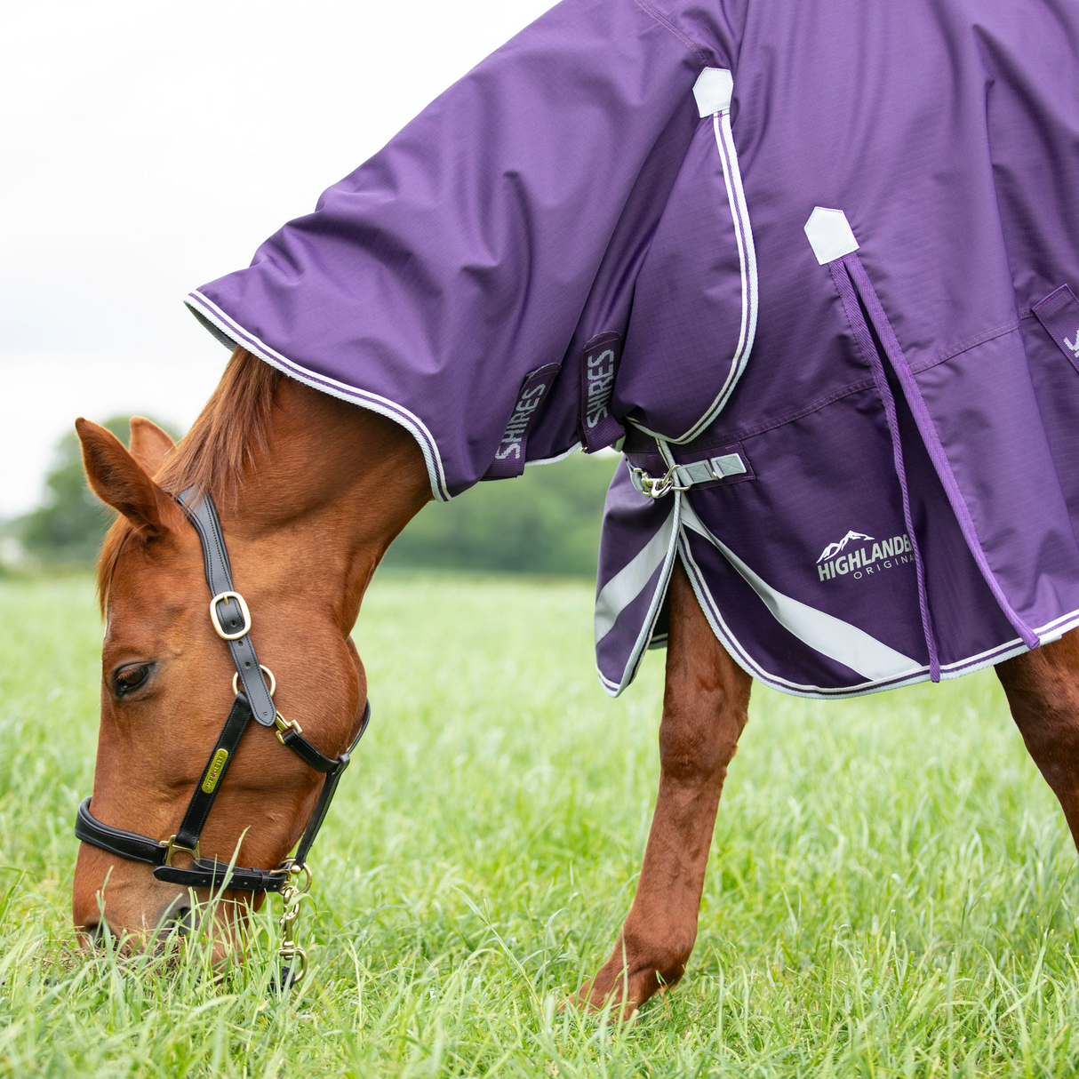 Shires Highlander Original 100g Turnout Combo Rug Plum