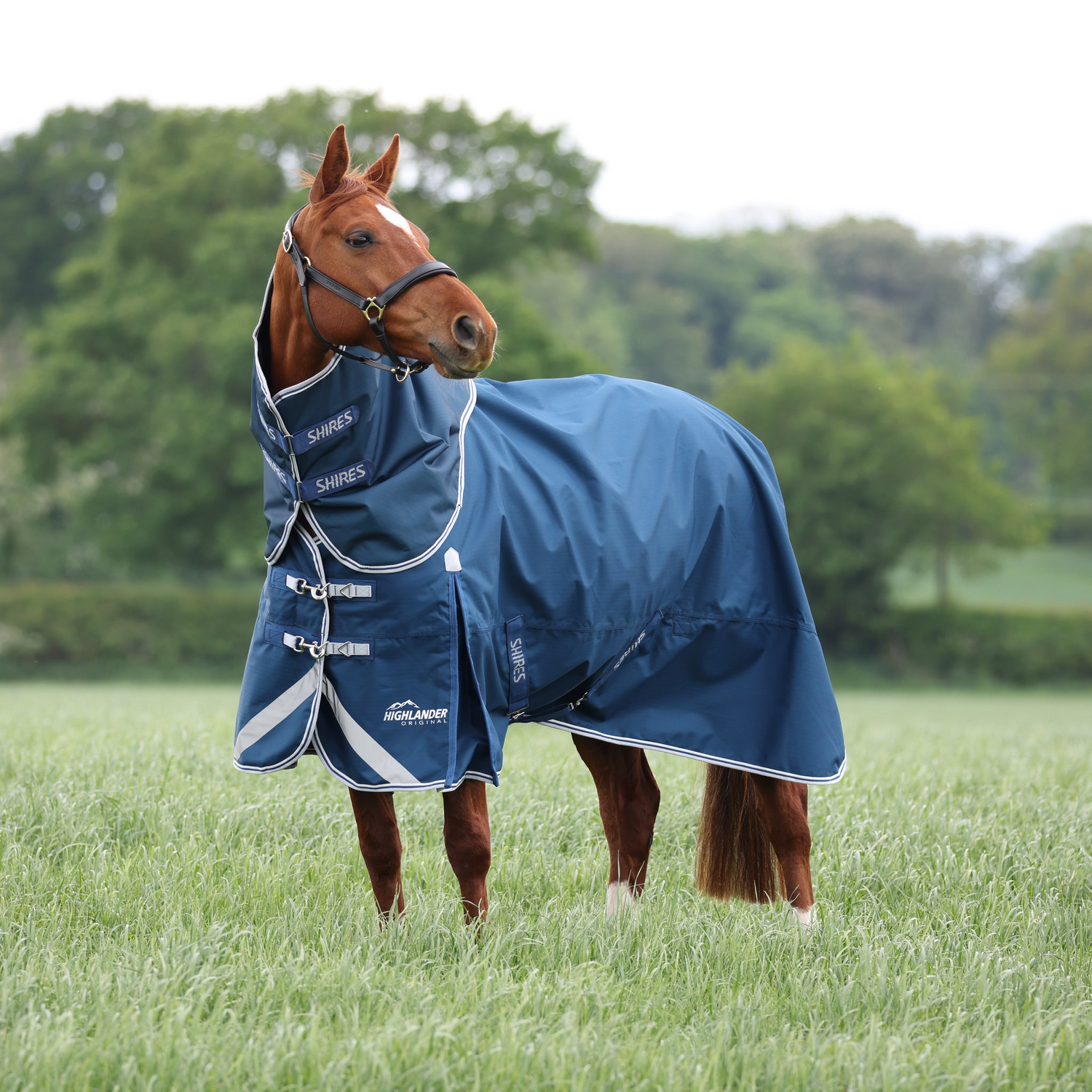 Shires Highlander Original 50g Turnout Rug & Neck Set Ocean