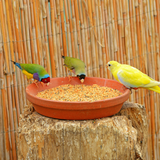 SkyGold Popular Parakeet 20kg