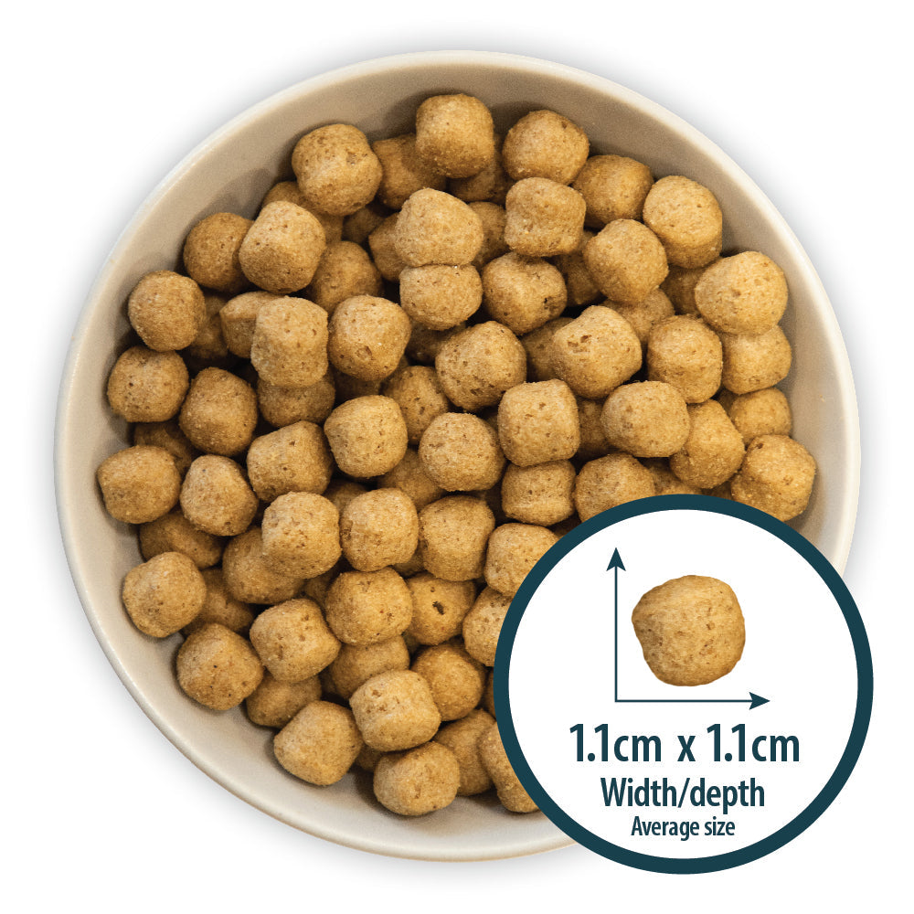 Burns Dog - Adult & Senior Original Lamb &  Brown Rice 12kg