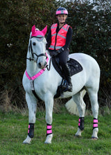 Woof Wear Hi Vis Riding Vest