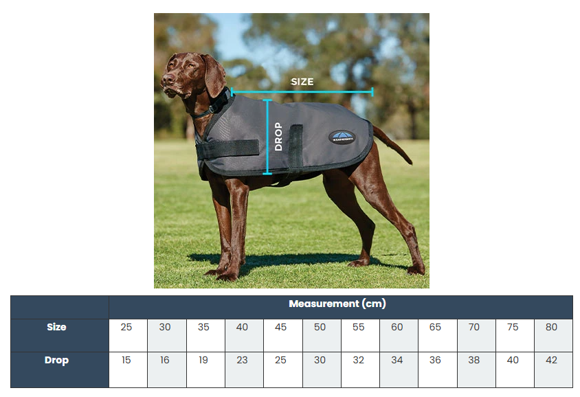 Weatherbeeta Comfitec Classic Waterproof Dog Coat Navy