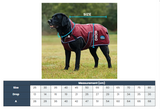 Weatherbeeta Comfitec Premier Deluxe Waterproof Dog Coat Burgundy/Navy