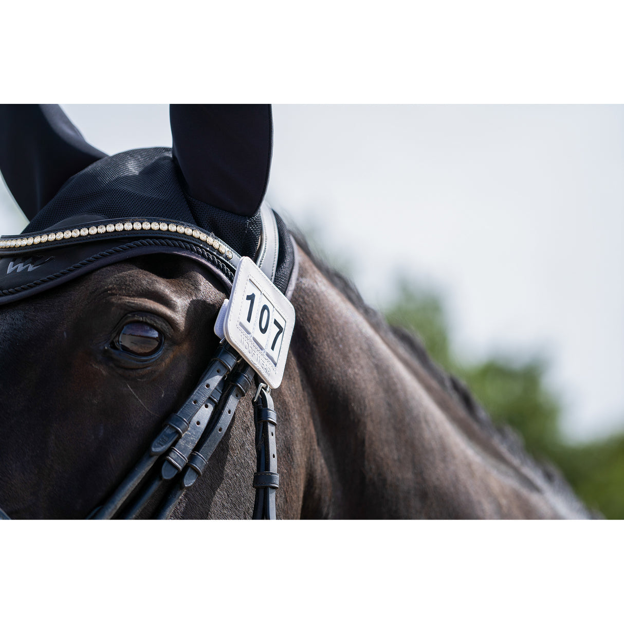 Woof Wear Bridle Number Holder White