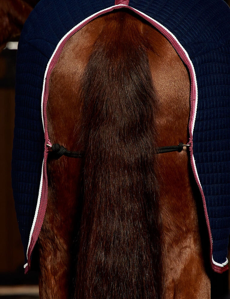 Weatherbeeta Thermocell Cooler Standard Neck Navy / Burgundy