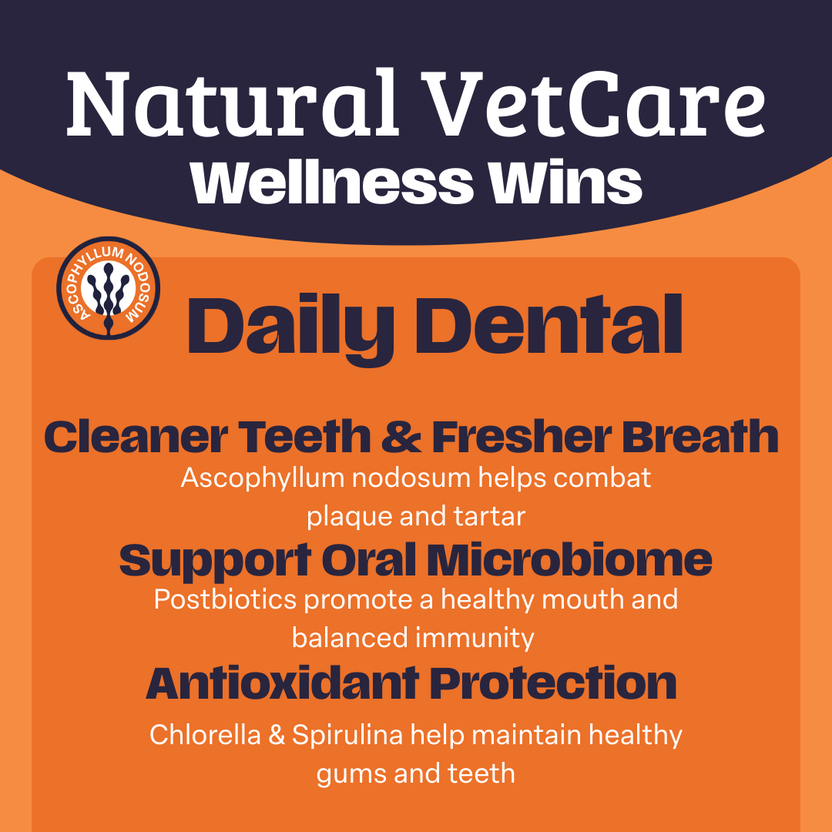 NAF NVC Dental Powder 200g