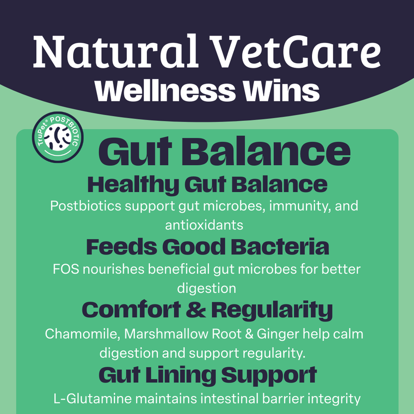 NAF NVC Gut Balance Chew 50pk