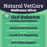 NAF NVC Gut Balance Chew 50pk