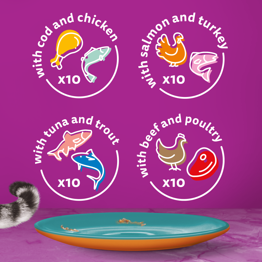 Whiskas 1+ Duo Surf & Turf in Jelly Adult Wet Cat Food Pouches 40x85g