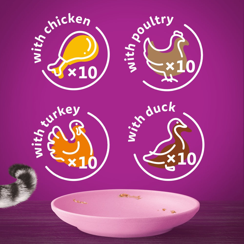 Whiskas 2-12 Months Kitten Poultry Feasts In Jelly Wet Cat Food Pouches 40x85g