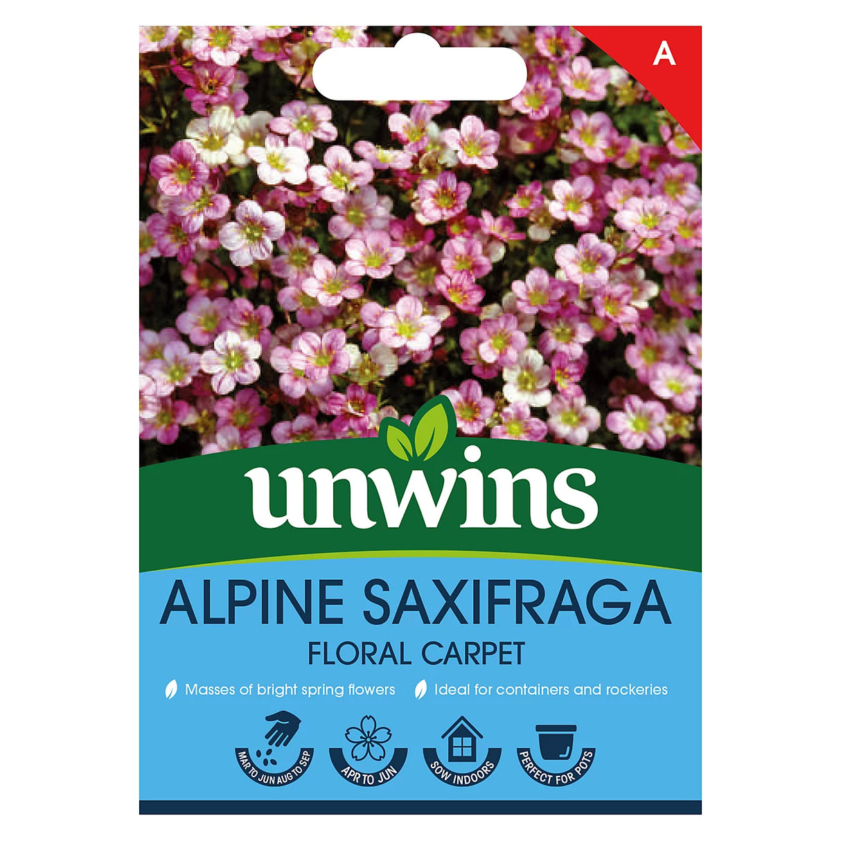 Unwins Alpine Saxifraga Floral Carpet