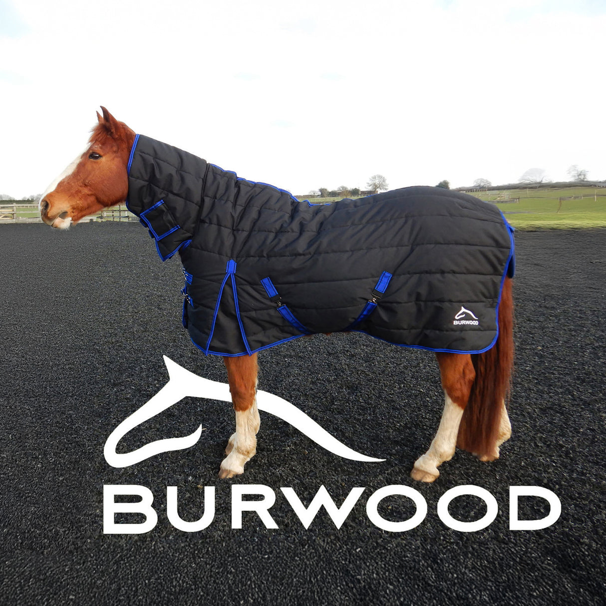 Burwood 200g Combo Quilt Stable Rug Black/Royal Blue