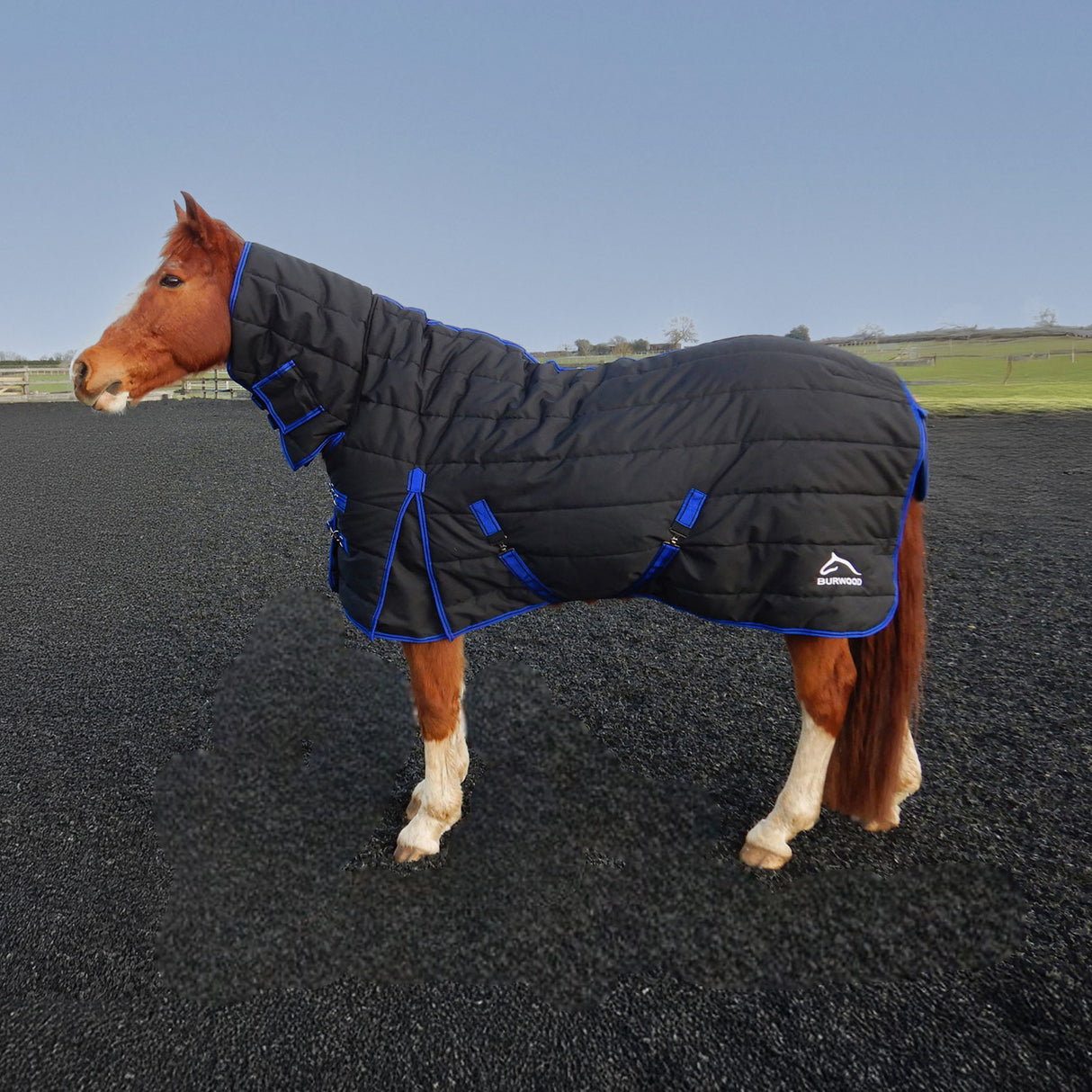 Burwood 200g Combo Quilt Stable Rug Black/Royal Blue