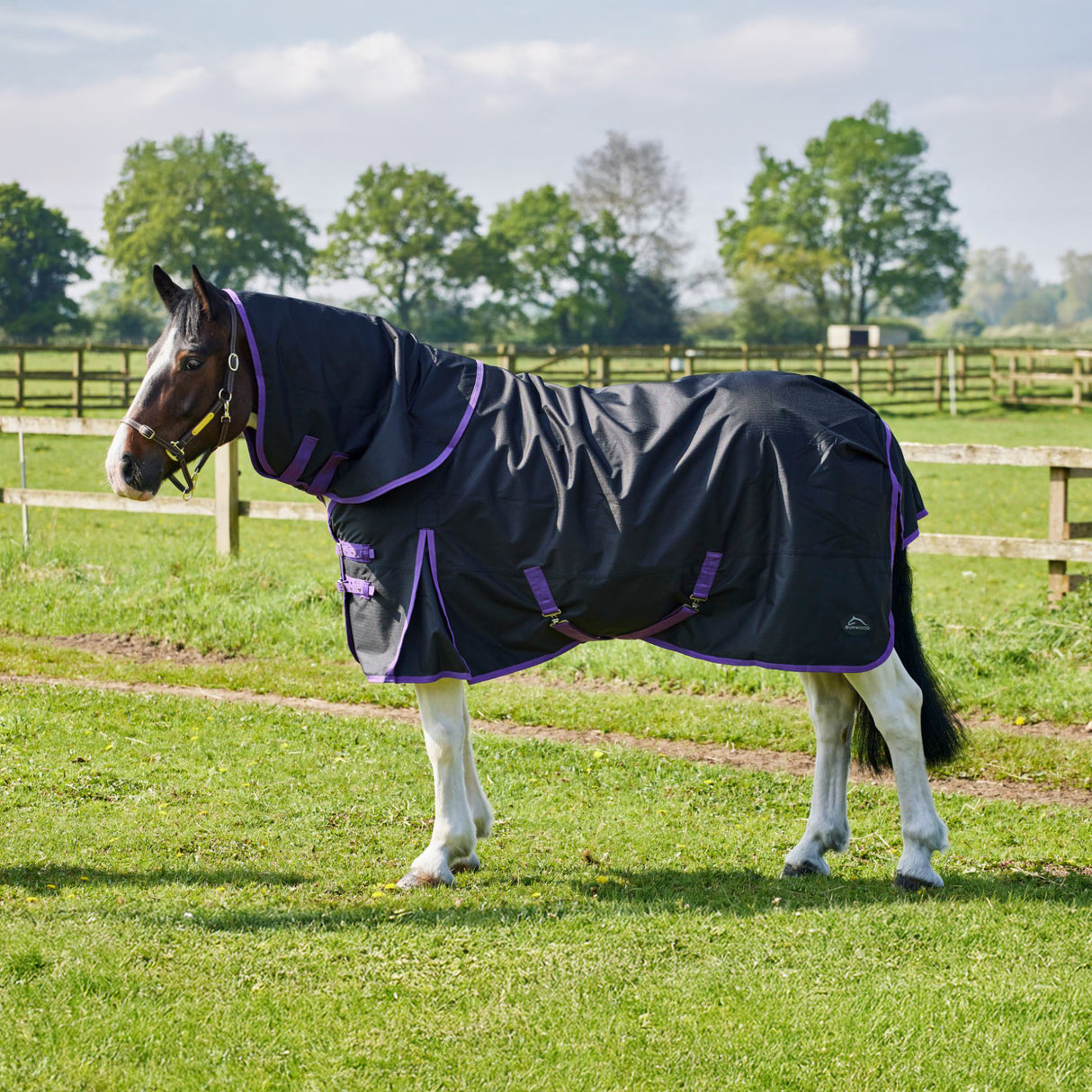 Burwood Zero Fill Detachable Neck Turnout Rug Black/Purple