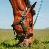 Cameo Equine ComfortPro Headcollar Evergreen