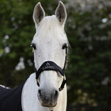 Cameo Equine Suede Elite Headcollar & Leadrope Black