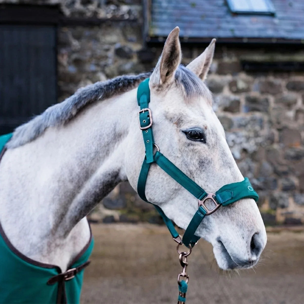 Cameo Equine Suede Elite Headcollar & Leadrope Evergreen