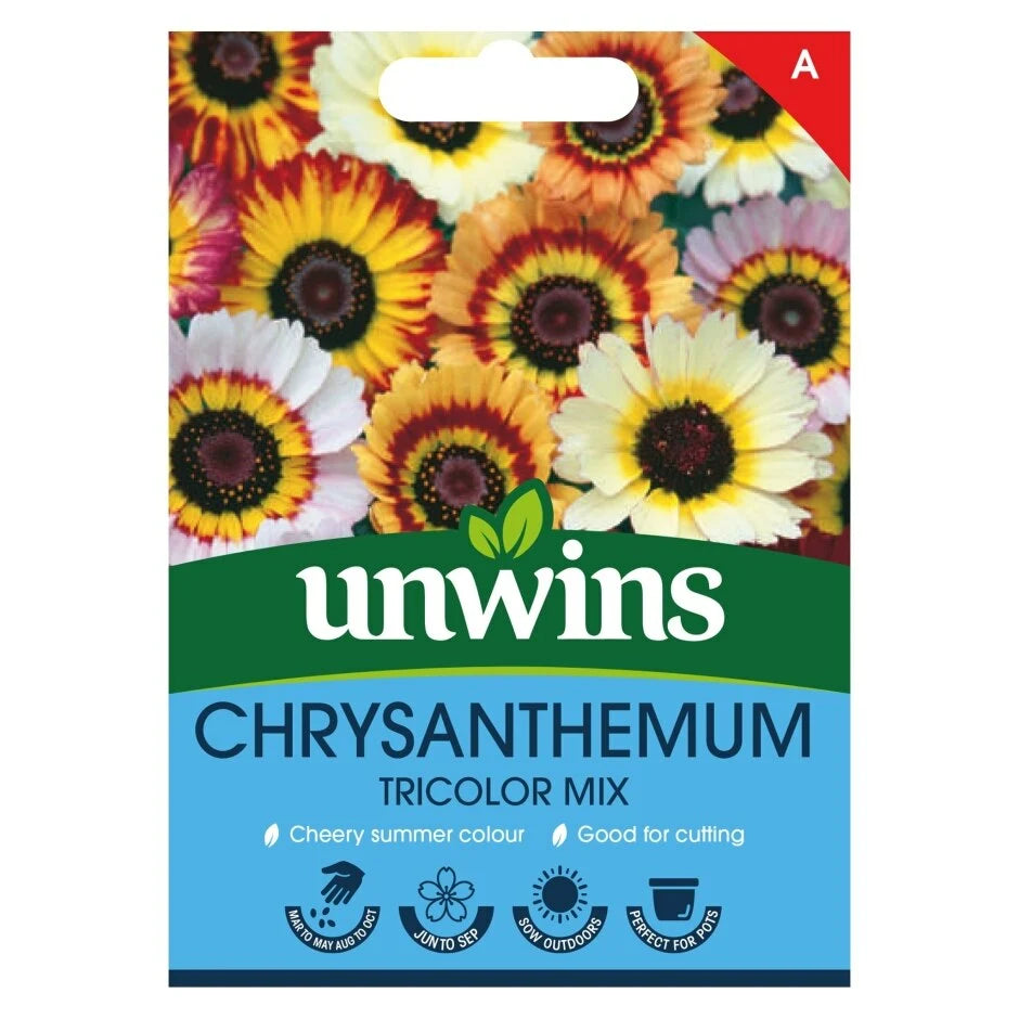 Unwins Chrysanthemum Tricolor Mix