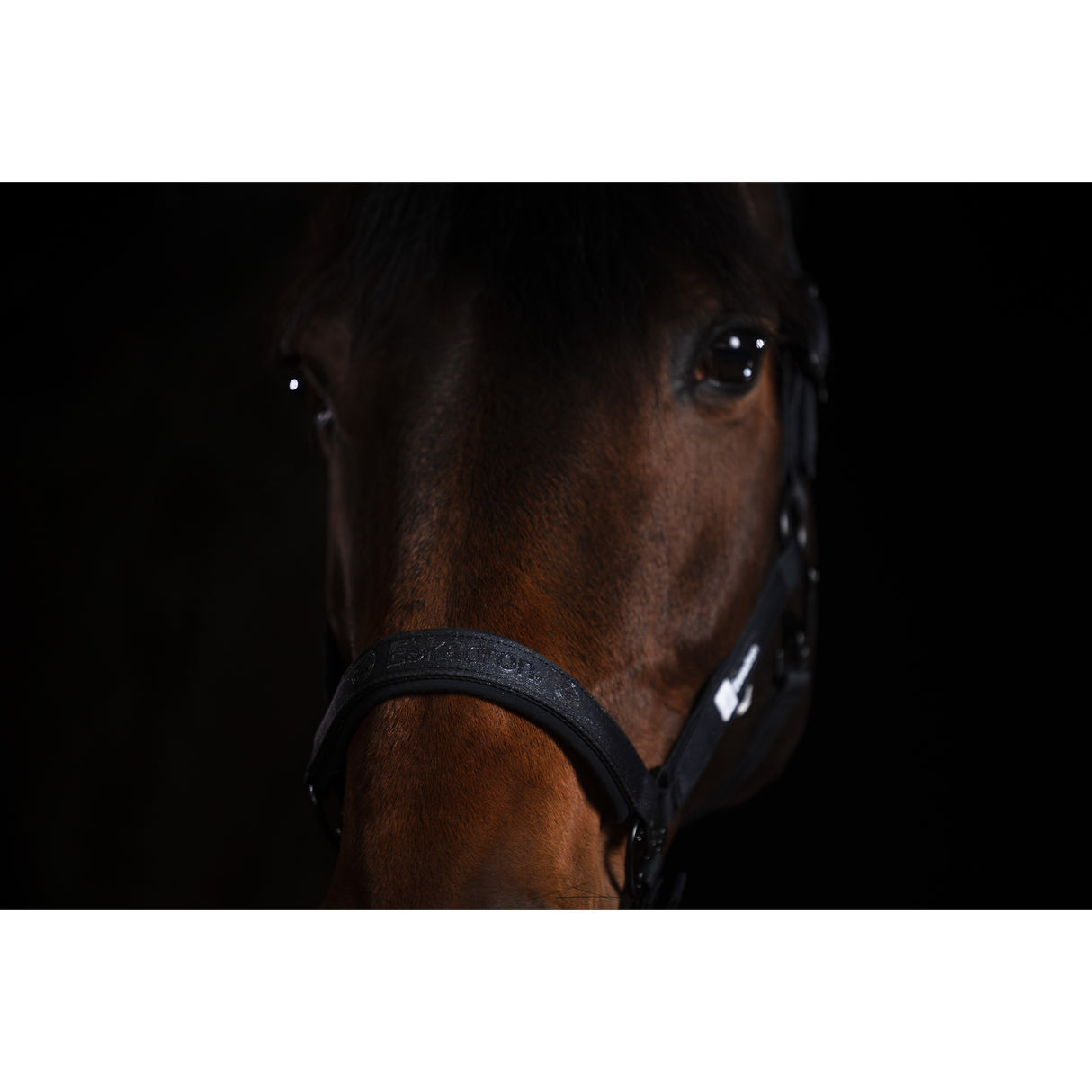 Eskadron Headcollar Sparkle Double Pin Dynamic 25 A/W