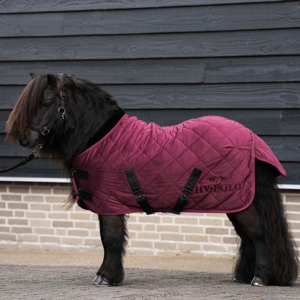 HV Polo Pony Stable Blanket HVPSacha Wine