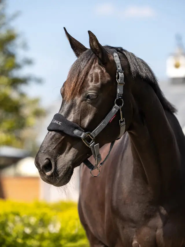 Le Mieux Vogue Fleece Headcollar & Leadrope Black Grey