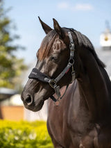 Le Mieux Vogue Fleece Headcollar & Leadrope Black Grey