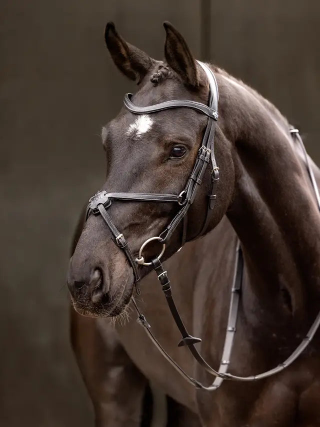 Le Mieux Arika Grackle Bridle Black / Silver
