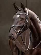 Le Mieux Arika Grackle Bridle Black / Silver