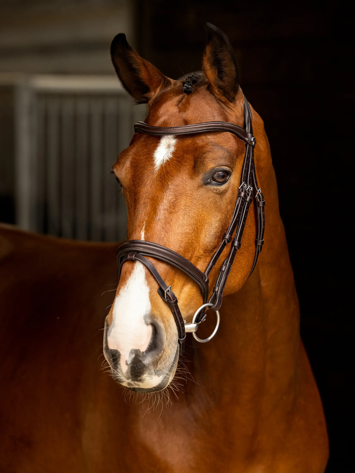 Le Mieux Arika Flash Bridle