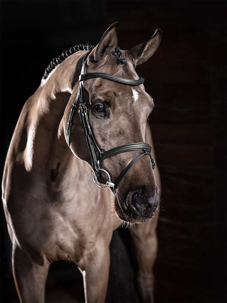 Le Mieux Arika Flash Bridle