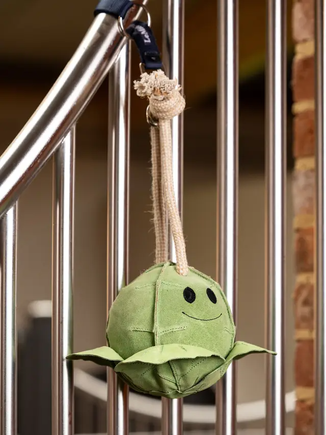 Le Mieux Horse Toy Sprout