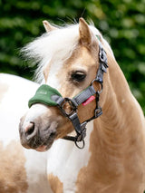 Le Mieux Mini Vogue Headcollar & Leadrope Hunter Green